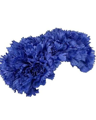 Ramillete de tres claveles maxi azul añil