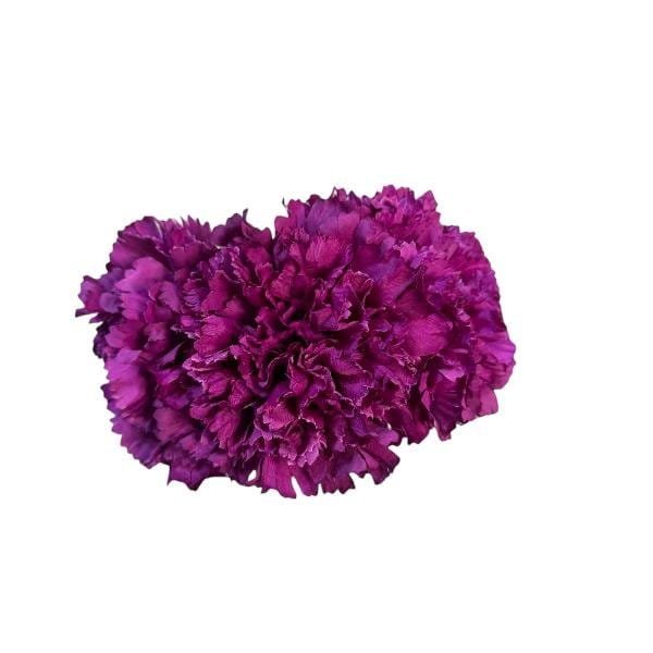 Ramillete de tres claveles maxi morado