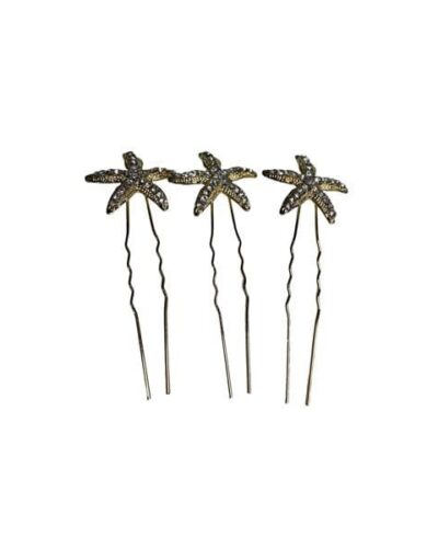Packs de peines de estrella de mar doradas