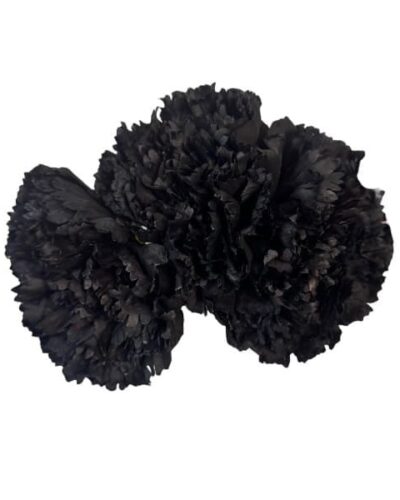 Ramillete de tres claveles maxi negro