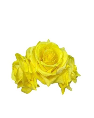 Ramillete de rosas amarillas de terciopelo
