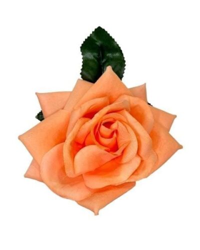 Flor rosa coral