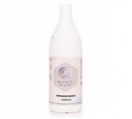 Blancoplata Limpiador General con Lejía 1L
