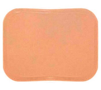 Cambro Bandeja Versa Lite Century Perfil Bajo