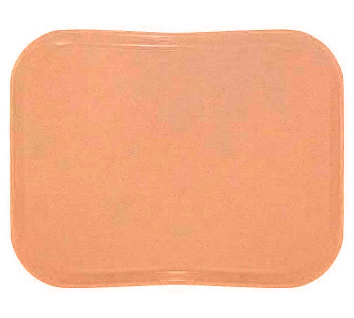 cambro-bandeja-versa-lite-century-perfil-bajo-01.jpg