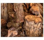 comas-lena-madera-vid-7kg-01.jpg