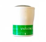 Induquim Fregasuelos Inducap Ultraconcentrado 10 (12 uds)