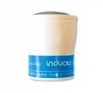 Induquim Limpiacristales Inducap Ultraconcentrado 30 (12 uds)