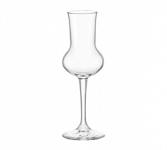 llorca-copa-riserva-grappa-licor-01.jpg