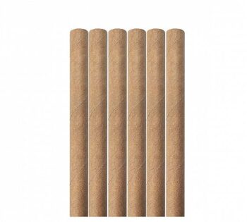 Cañas de Papel Cocktail Kraft