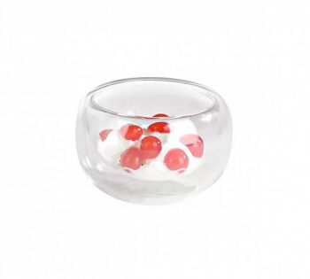 Packnwood Vaso Doble Pared Birdy
