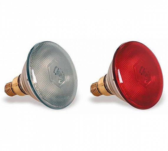 pujadas-accesorios-bombilla-calientaplatos-01.jpg