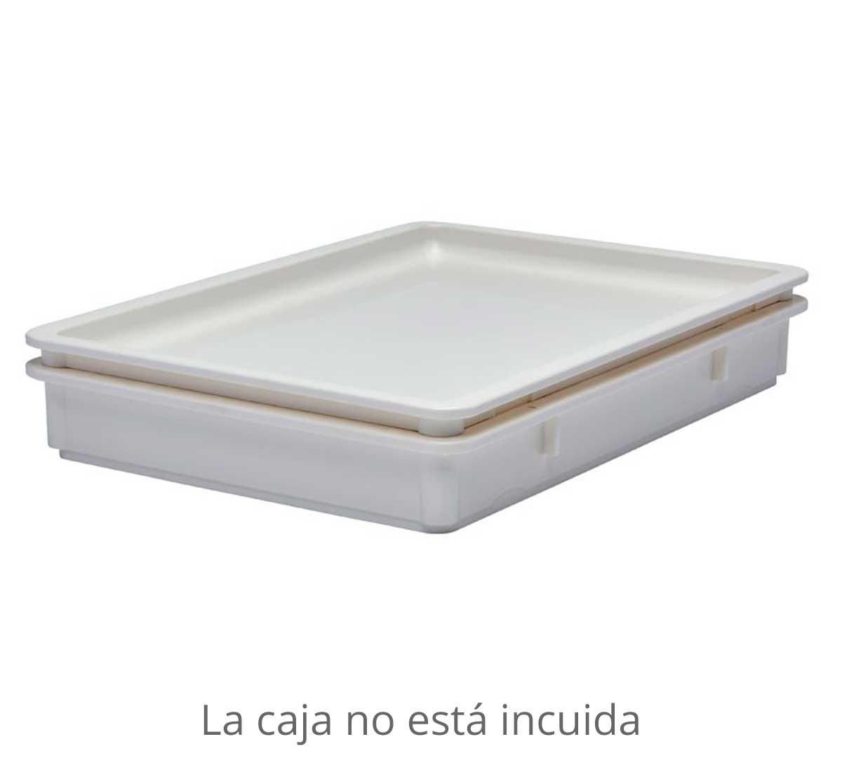 cambro-tapa-masa-pizza-pp-02.jpg