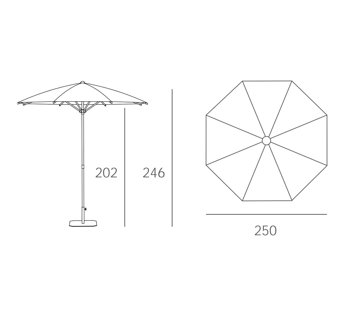 ezpeleta-parasol-palma-05.jpg